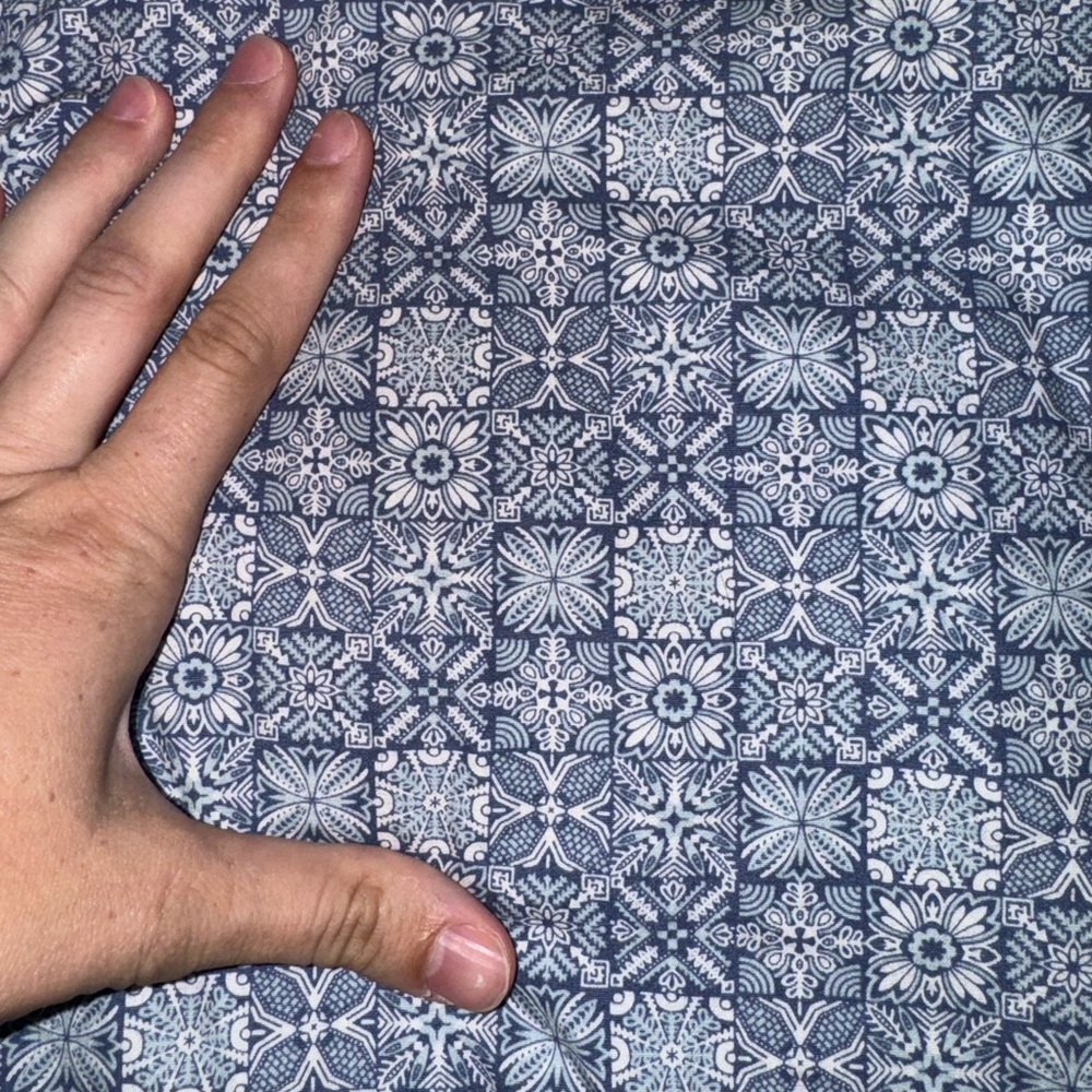Panhandle Button Down - Picture 2 of 5